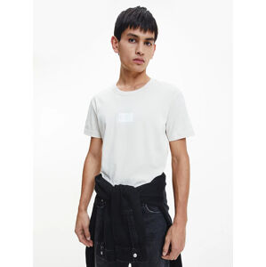 Calvin Klein pánské černé tričko - L (ACF)